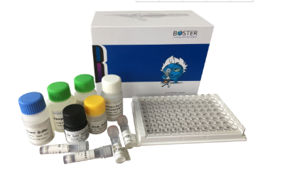 Mouse TNF alpha PicoKine ELISA Kit